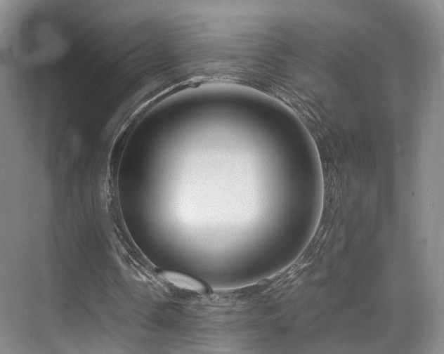 X0000075810338200609151152