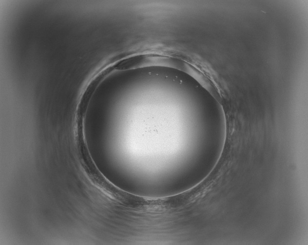 X0000075810344200609151152