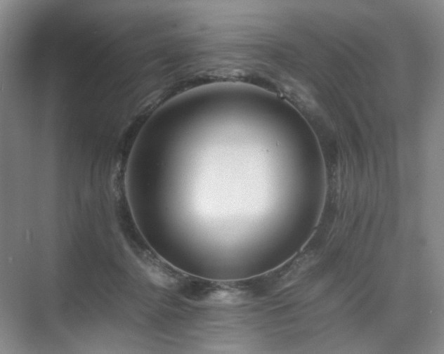 X0000075810364200609151152