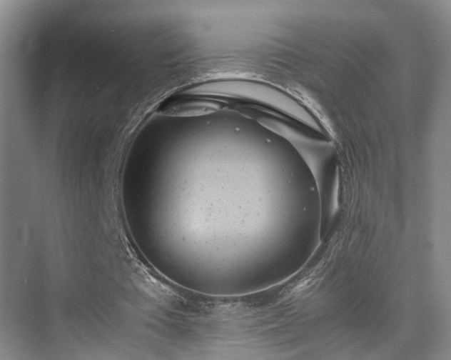 X0000075810385200609151152