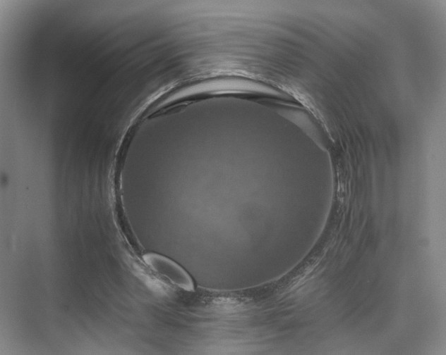 X0000075810390200609151152