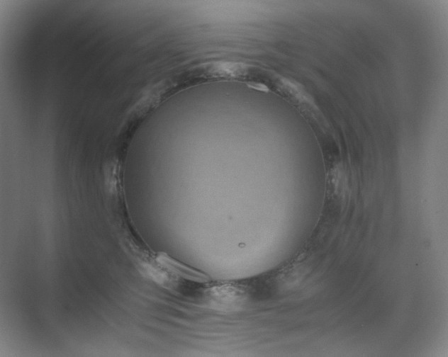 X0000075810423200609151151