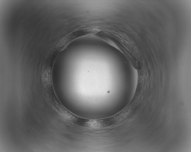 X0000075810425200609151151