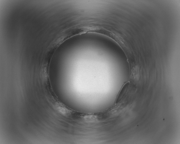 X0000075810426200609151151