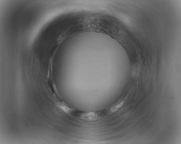 X0000075810431200609151151