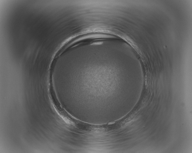 X0000075810438200609151150