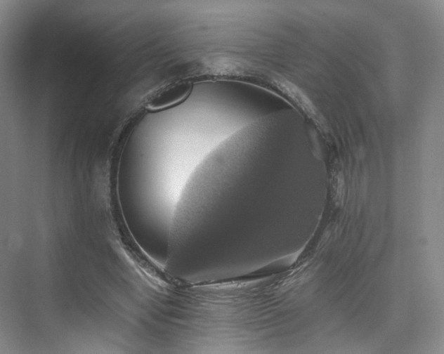 X0000075810442200609151151