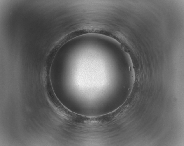 X0000075810448200609151151