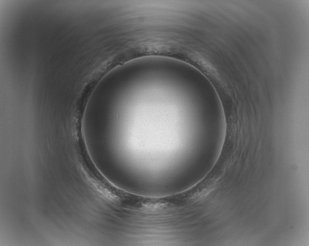 X0000075810450200609151151