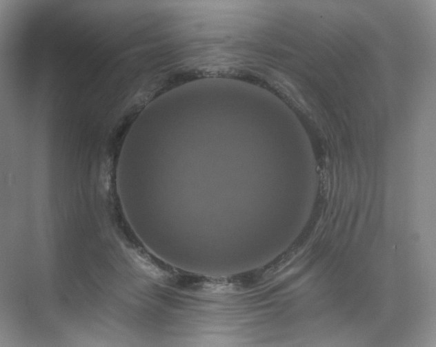 X0000075810458200609151151