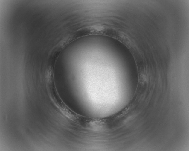 X0000075810468200609151151