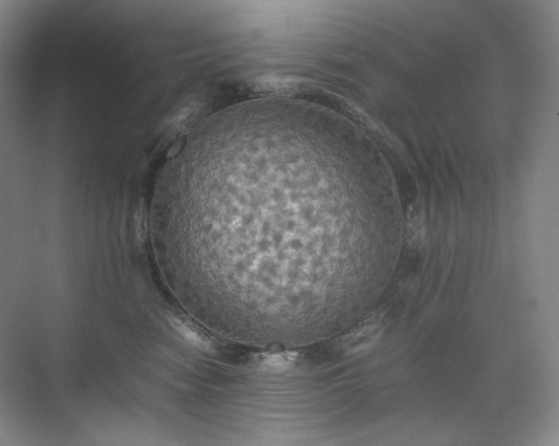 X0000075810474200609151151