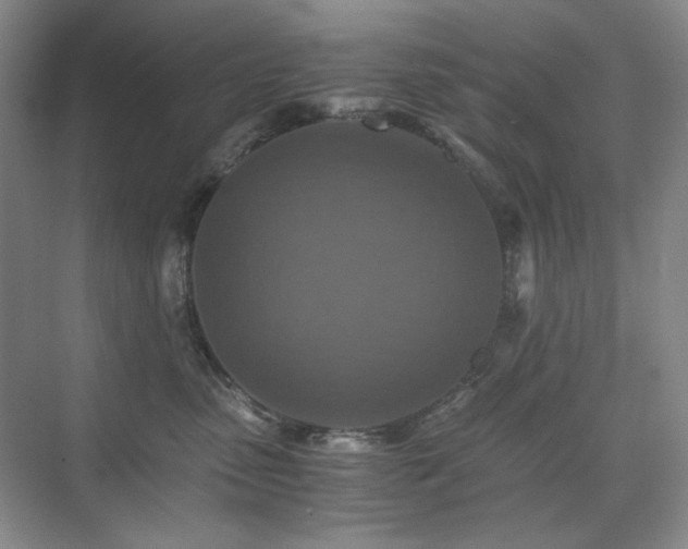 X0000075810475200609151151