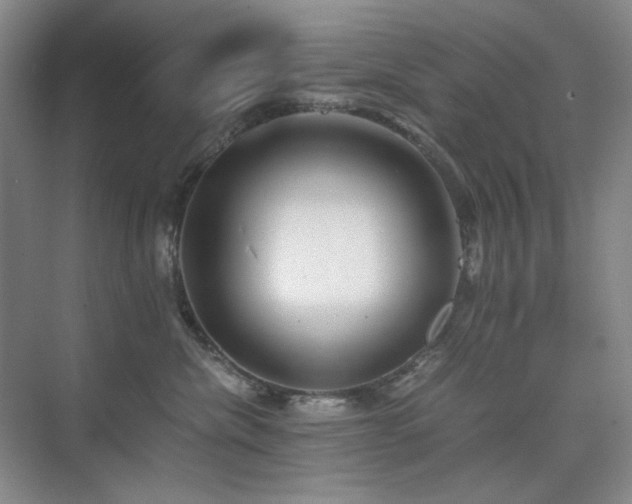 X0000075810476200609151151