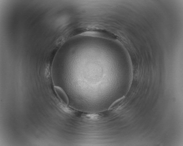 X0000075810478200609151151