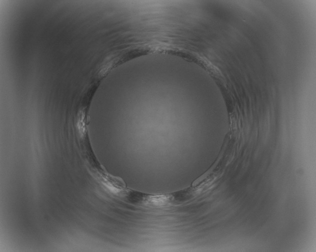 X0000075810479200609151151