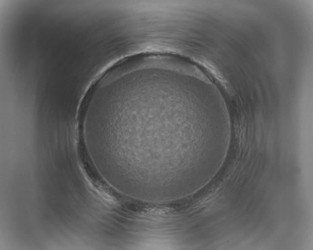 X0000075810488200609151150