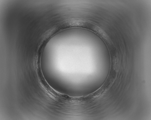 X0000075810490200609151150