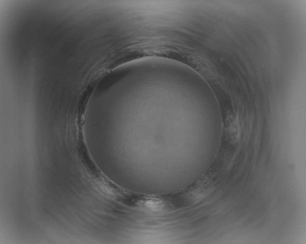 X0000075810506200609151150