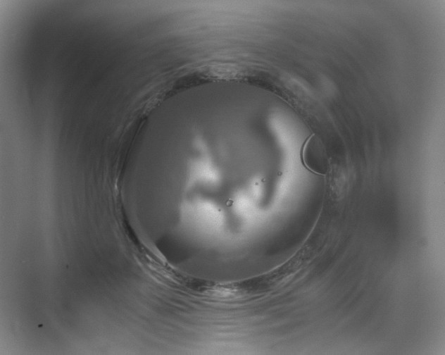 X0000075810507200609151150