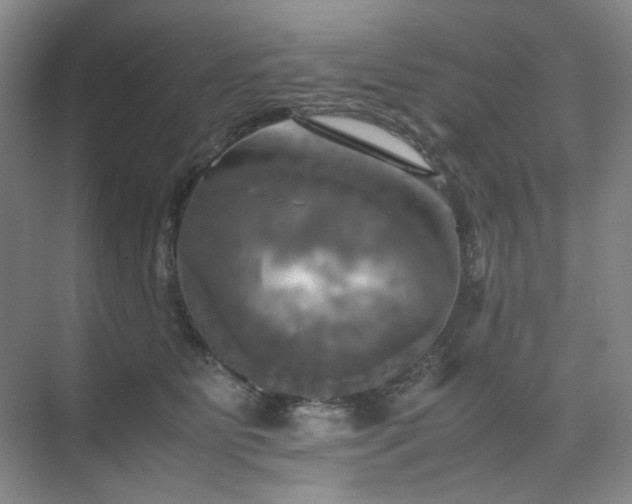 X0000075810515200609151150