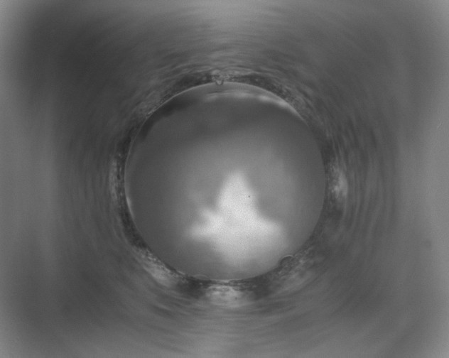 X0000075810519200609151150