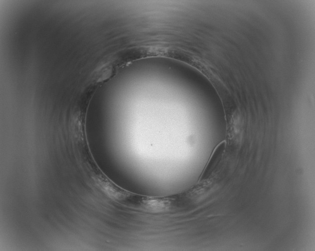 X0000075810522200609151150