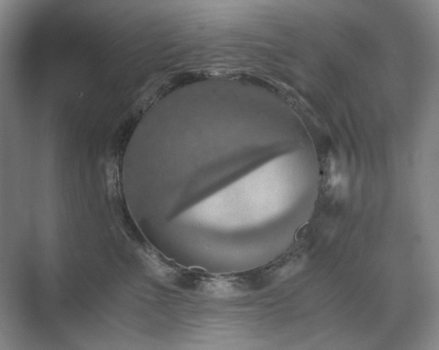 X0000075810523200609151150