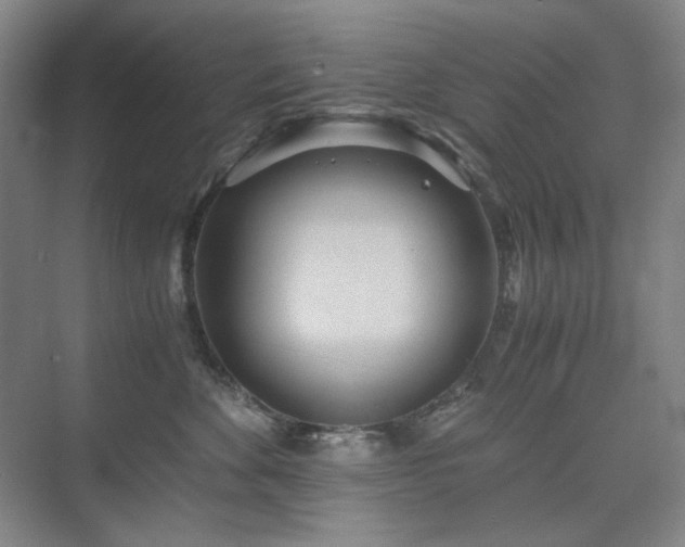 X0000075810524200609151150