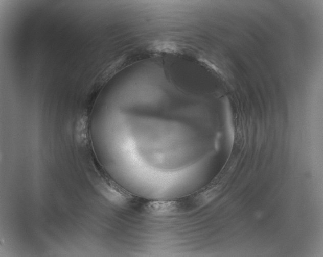 X0000075810526200609151150