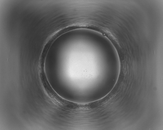 X0000075810536200609151149