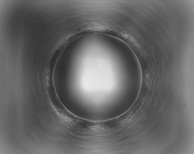 X0000075810544200609151149