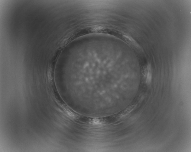 X0000075810565200609151149