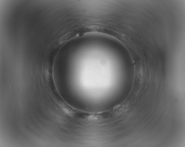 X0000075810566200609151149