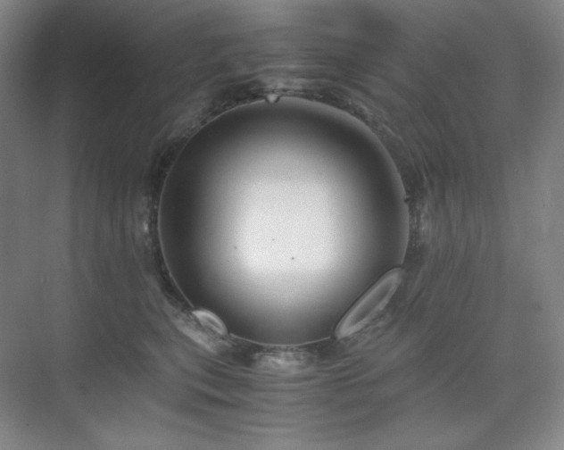 X0000075810567200609151149
