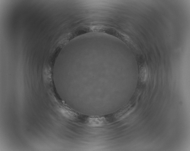 X0000075810571200609151149
