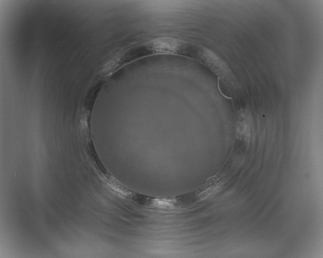 X0000075810573200609151149