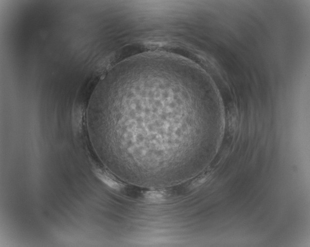 X0000075810574200609151149