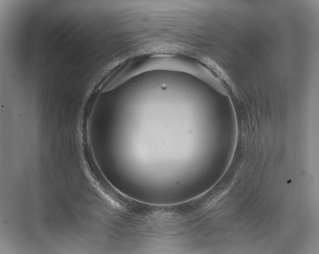 X0000075810581200609151149