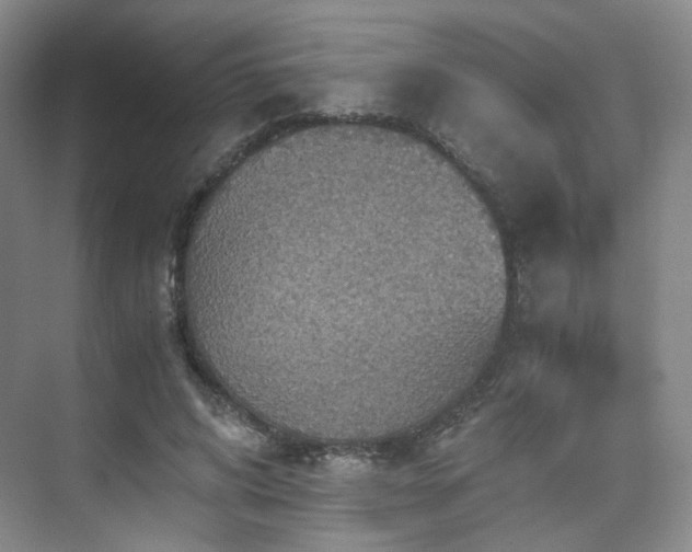 X0000075810592200609151148