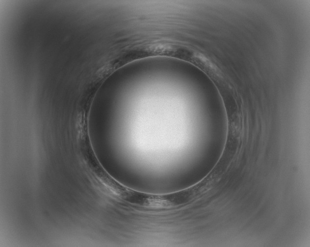 X0000075810605200609151148