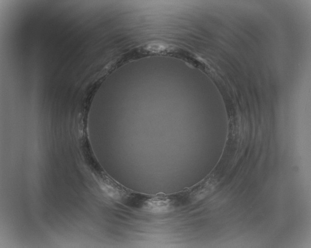 X0000075810606200609151148