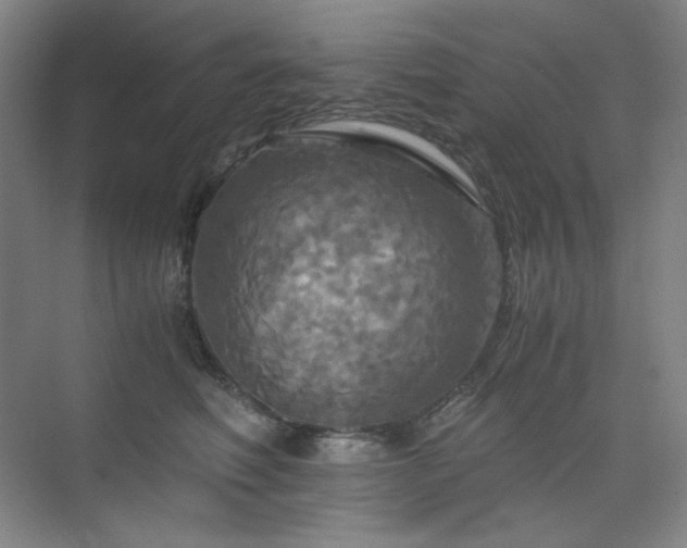 X0000075810614200609151148