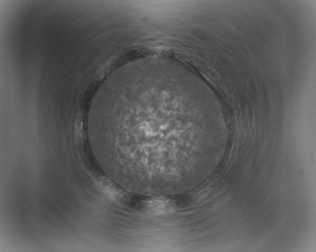 X0000075810615200609151148