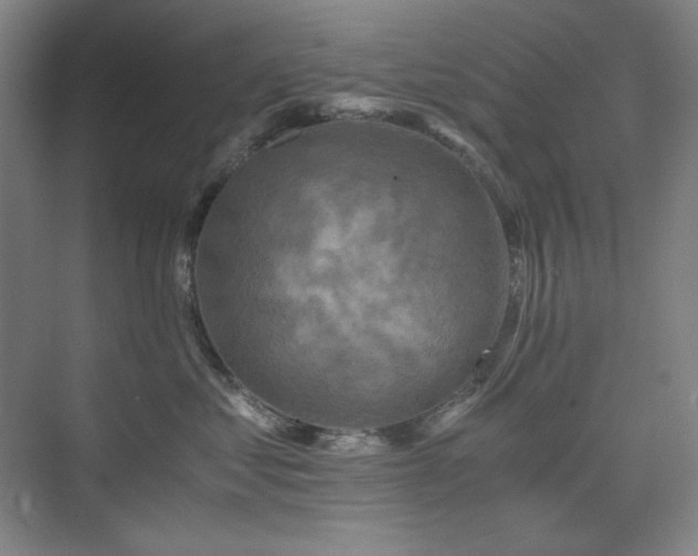X0000075810621200609151148