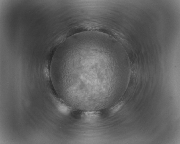X0000075810622200609151148