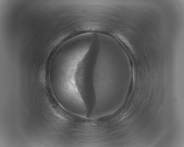 X0000075810627200609151147