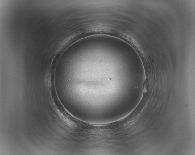 X0000075810629200609151147