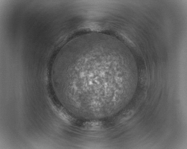 X0000075810639200609151147