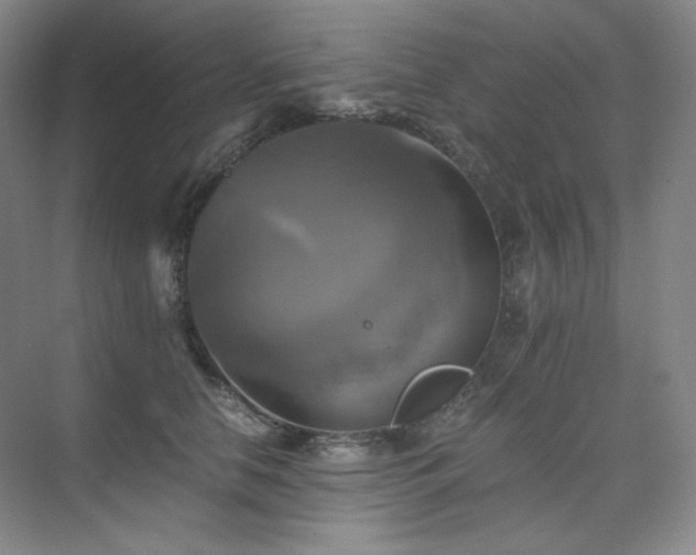 X0000075810658200609151148